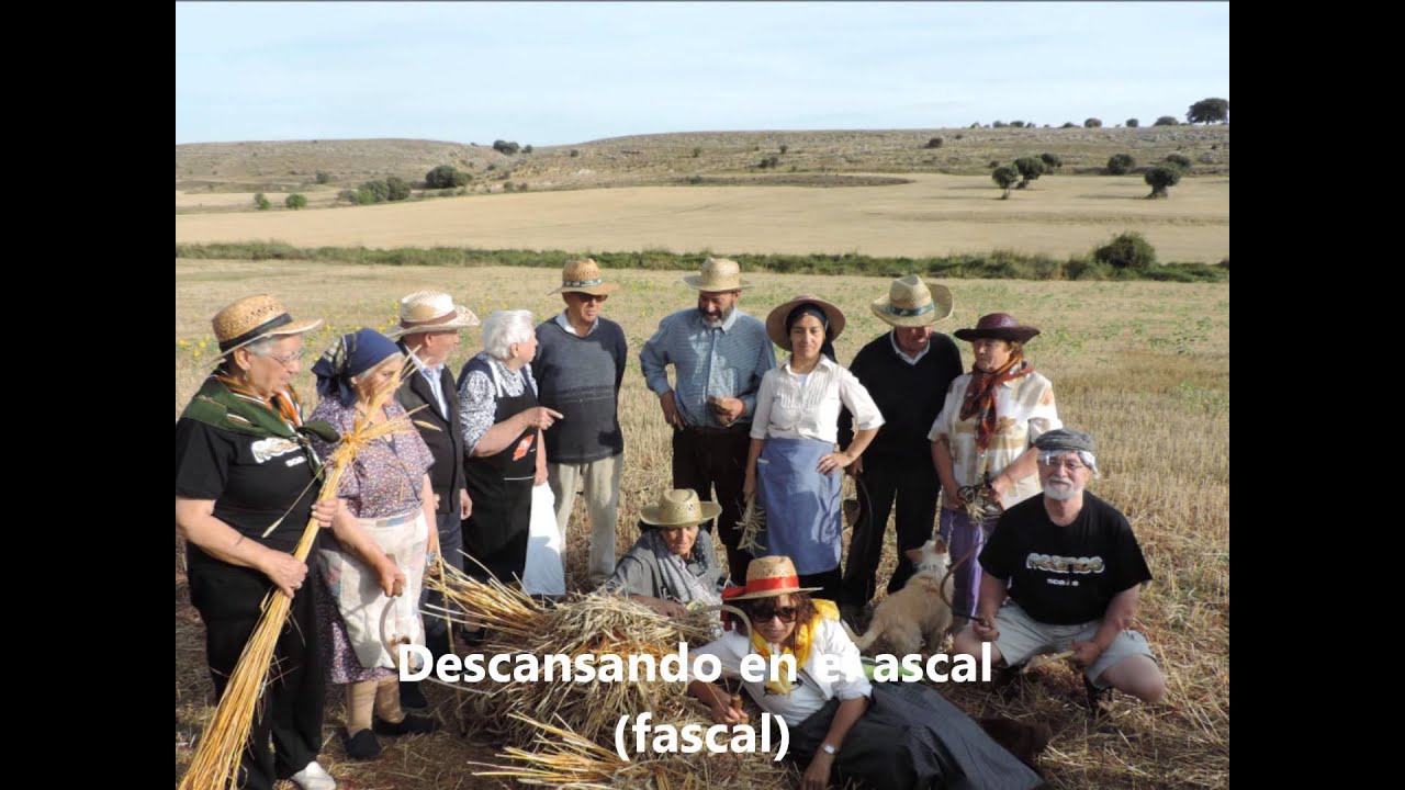 Fiestas Reznos