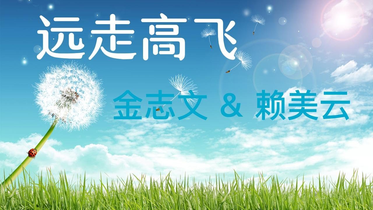 远走高飞 金志文 & 赖美云 （字幕歌词） 30分钟循环