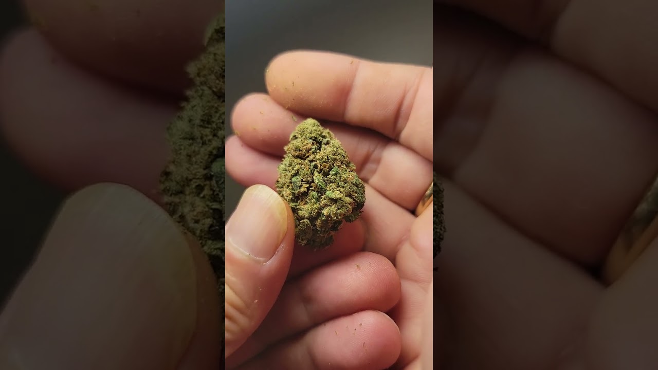 Platinum purple kush THCA live #420 #giveaway #cbdproducts #cannabiscommunity420 #foryoupage