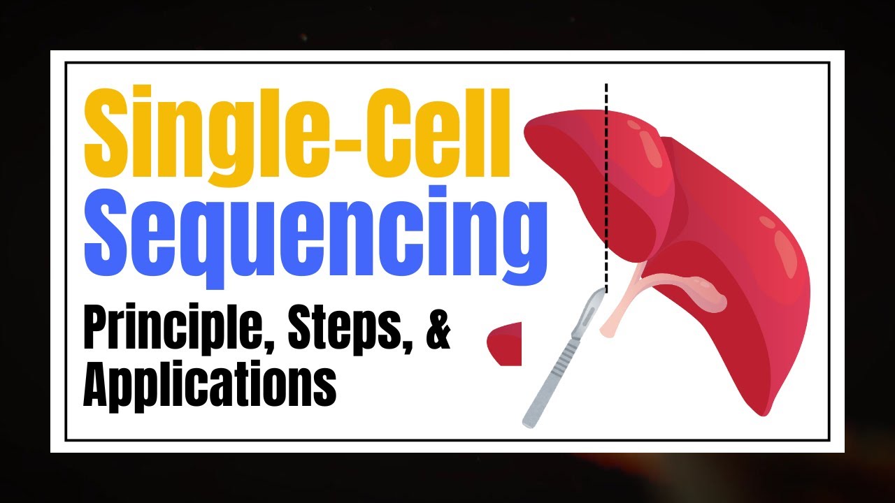 Everything You Need to Know About Single-Cell Sequencing: Types, Cost, & Applications