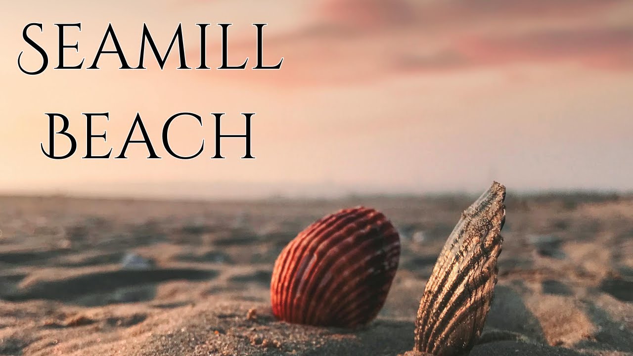 We visit Seamill Beach , go for a swim & walk along the coast alongside West Kilbride golf course