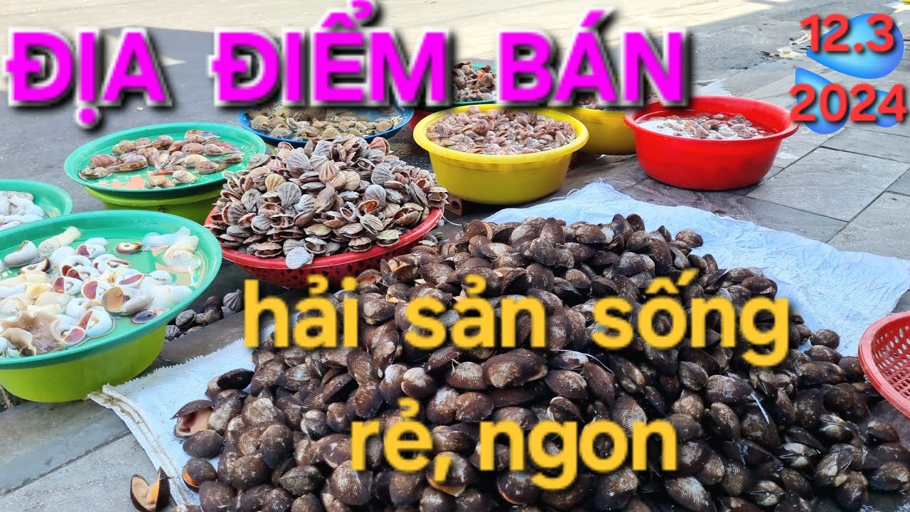 Tất tần tật đường phố, hải sản, chợ Văn Thánh Phan Thiết Bình Thuận | VietNam Travel Vlog