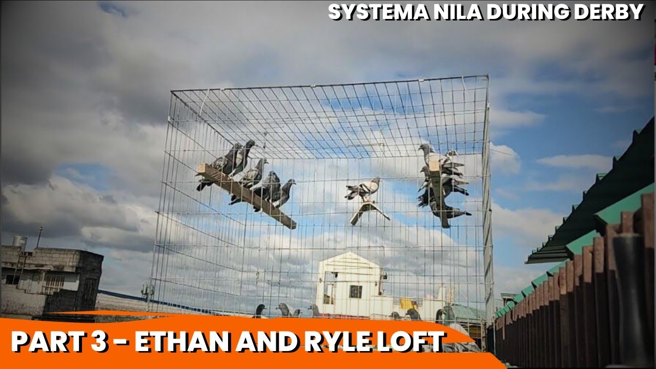 ETHAN AND RYLE part 3