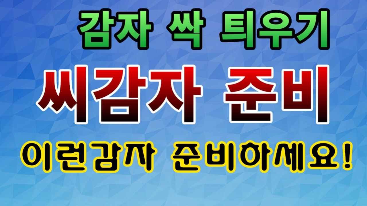 [텃밭농부.901]  씨감자 싹 틔우기 준비 사항 #감자싹틔우기 #감자재배
