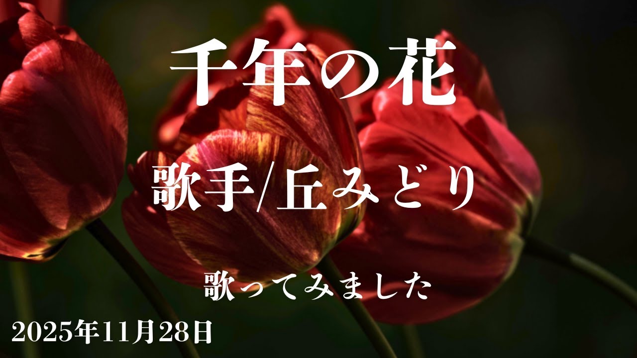[曲名]千年の花　[歌手]丘みどり　[キー]-2　cover