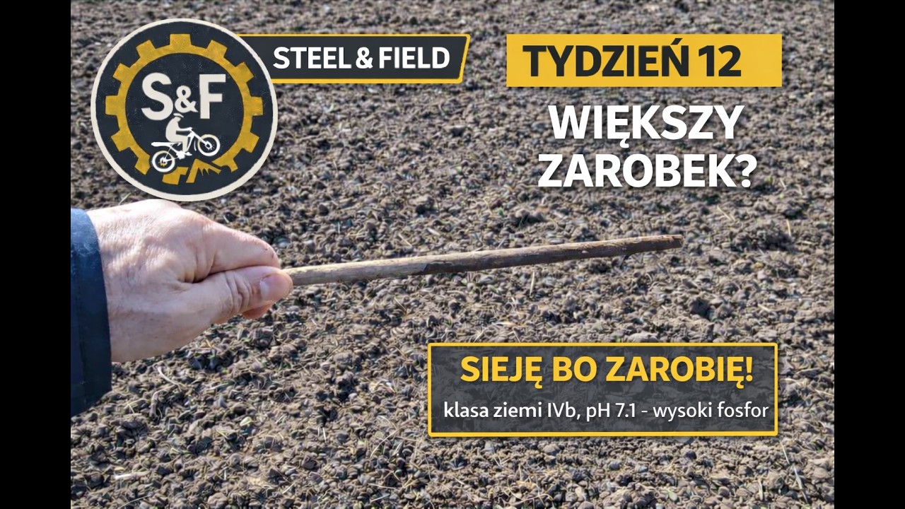 👉 Sieję tę roślinę zamiast zboża… bo więcej zarobię