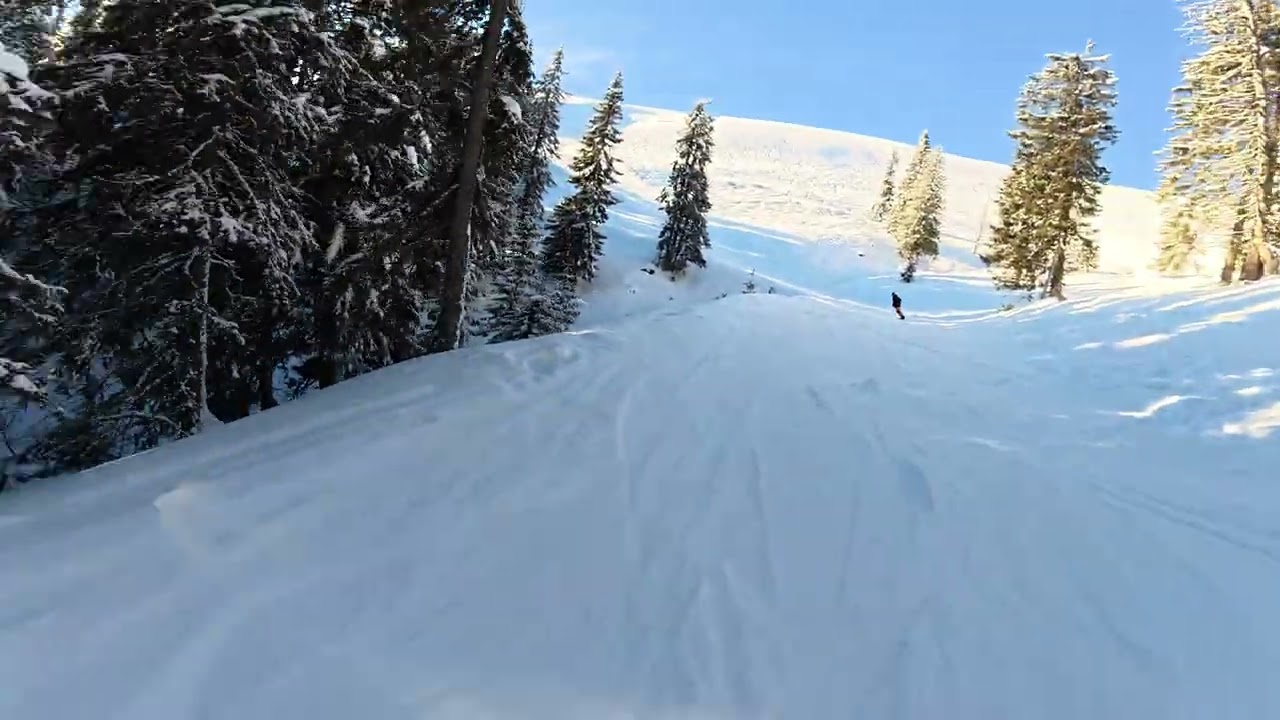 Drumul de padure | Transalpina | Februarie 2026