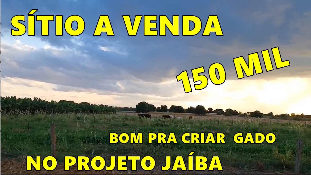 (ARRENDADO) SÍTIO  A VENDA NO PROJETO JAÍBA  150 MIL CADA SÍTIO