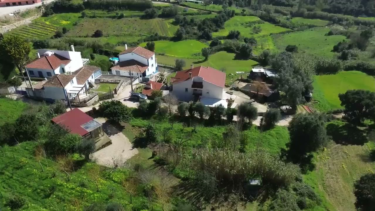 Terreno com Projeto Vivo de Permacultura e Potencial de Construção | Pucariça – Santo Isidoro, Mafra