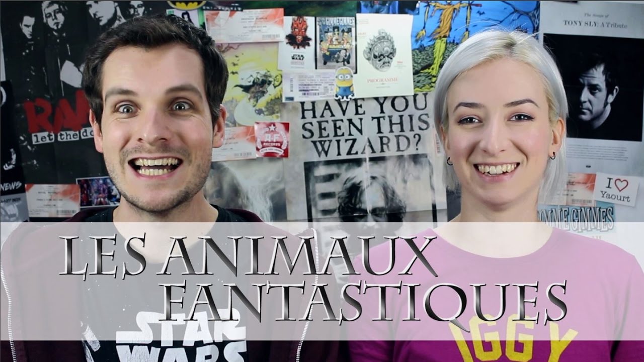 [CINÉMA] Les Animaux Fantastiques
