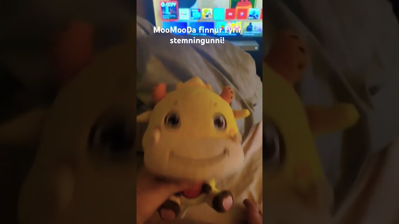 MooMooDa finnur fyrir straumnum! 