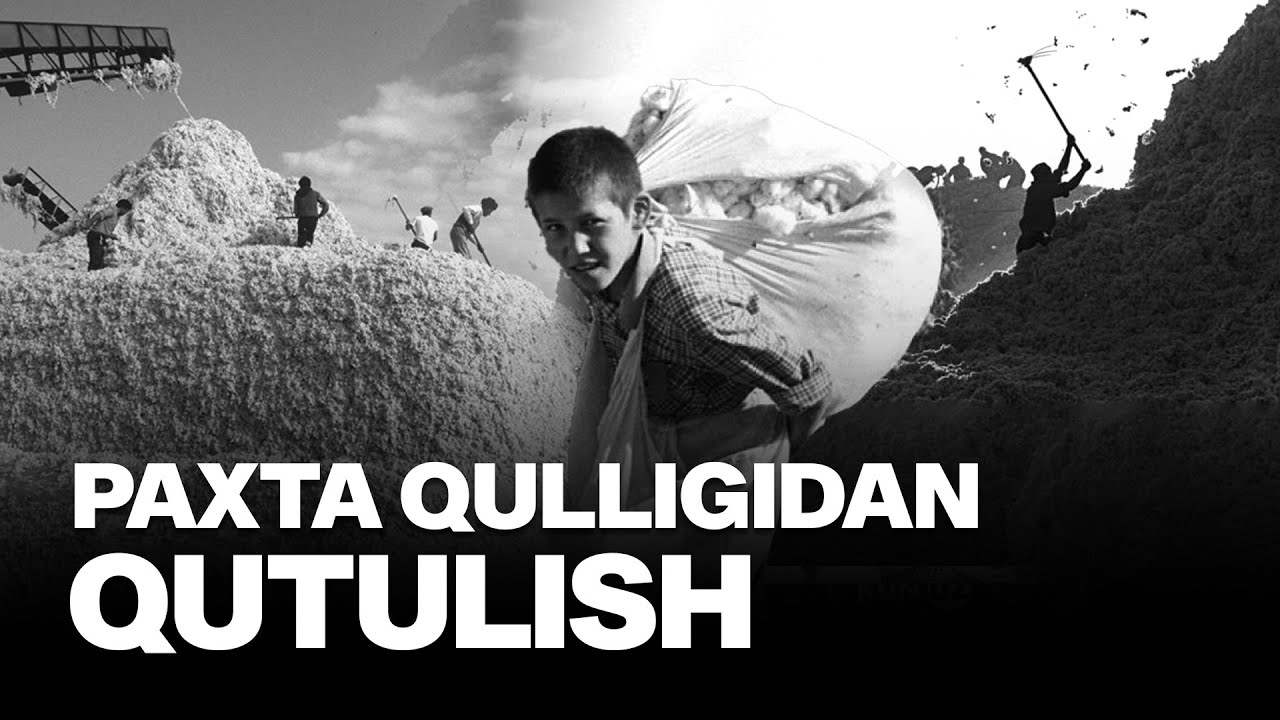 &laquo;Oq oltin&raquo; balosi: O&lsquo;zbek xalqi paxta qulligidan ozod bo&lsquo;lishi tarixi