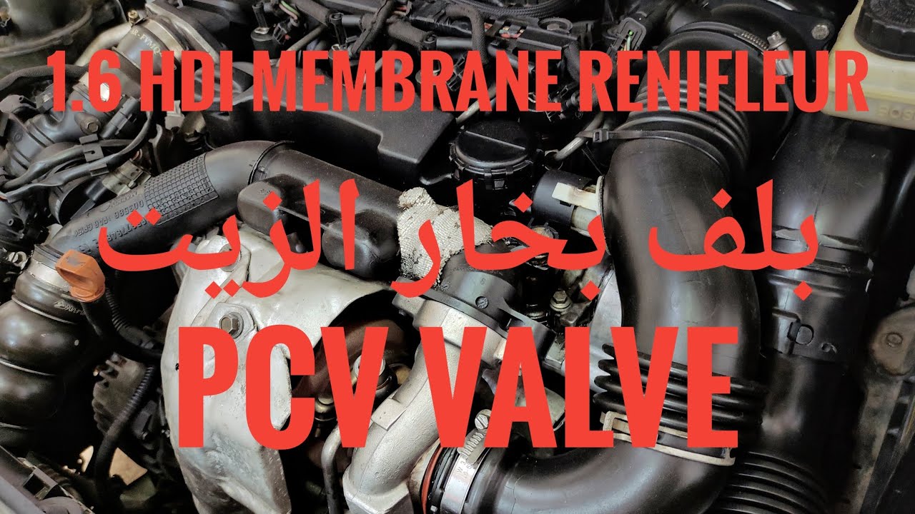 Peugeot Citroën DS  1.6 HDi 16v membrane renifleur  ( pcv valve)   بلف بخار الزيت