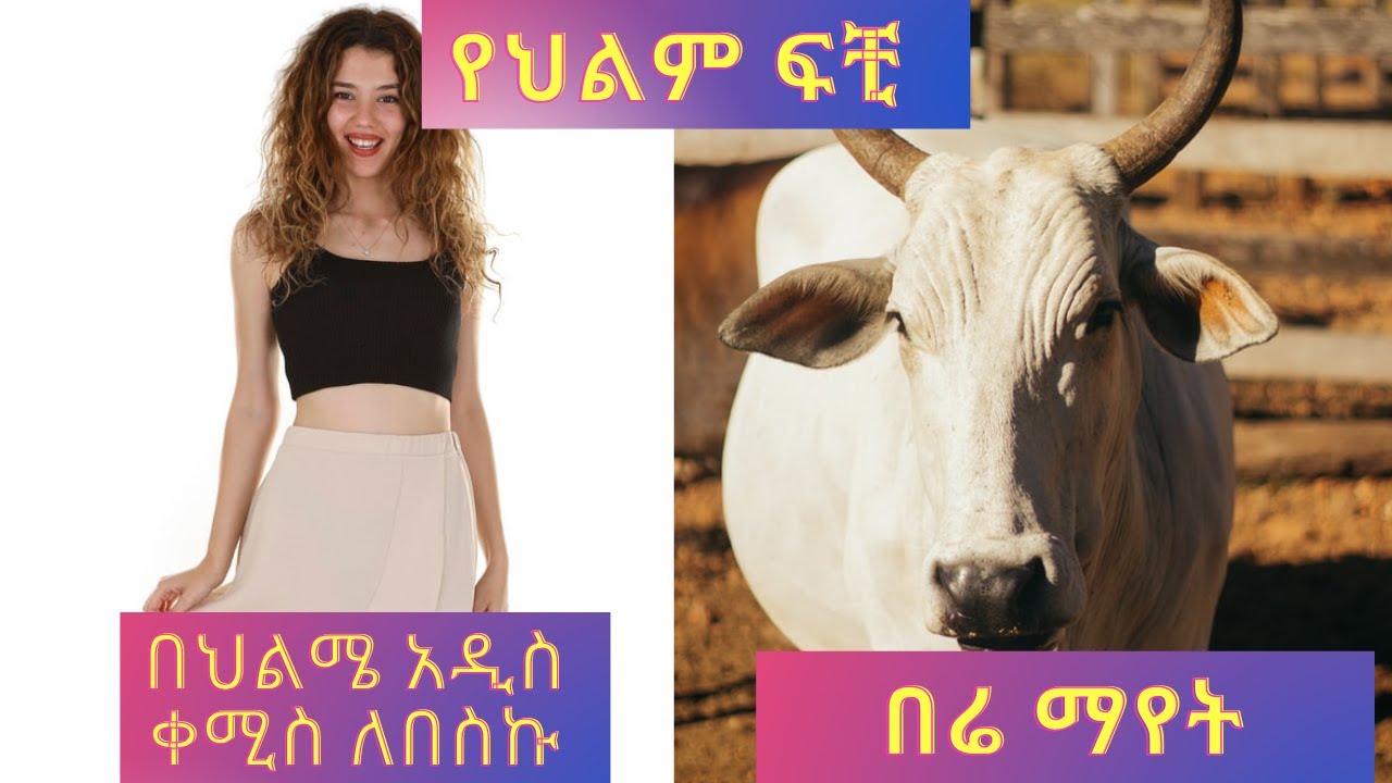 የህልም ፍቺ:- በህልሜ አዲስ ቀሚስ ለበስኩ ግን ጉርድ ነው እና በሬ ማየት