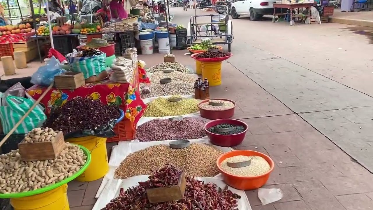 Una visita a Tlapehuala
