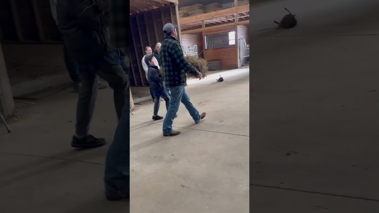 Sabastian's Career Experience: Behind the Scenes