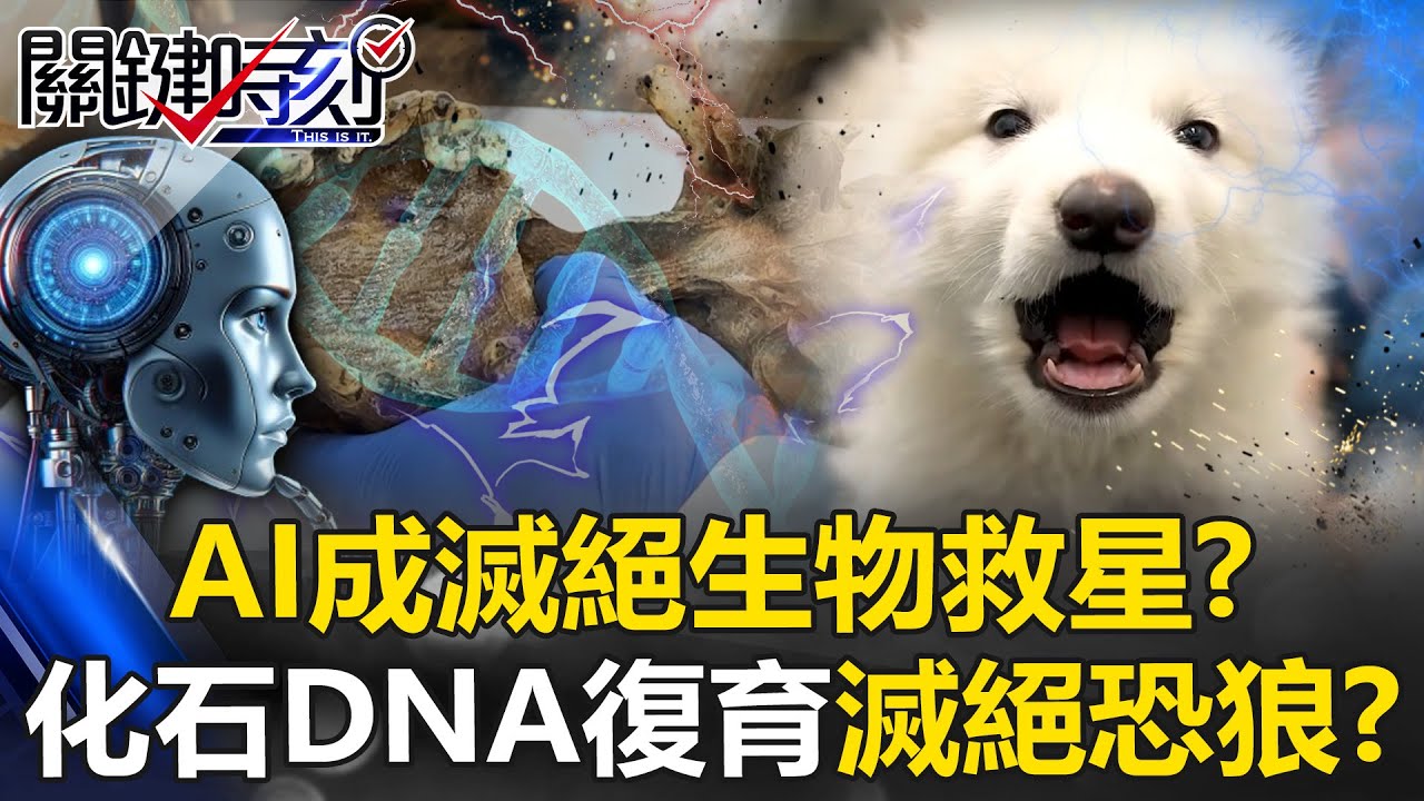 AI成滅絕生物救星！？ 化石DNA復育滅絕1.2萬年前「恐狼」可輕易咬碎獵物骨頭！？【關鍵時刻】20250408-6 張炤和 林裕豐