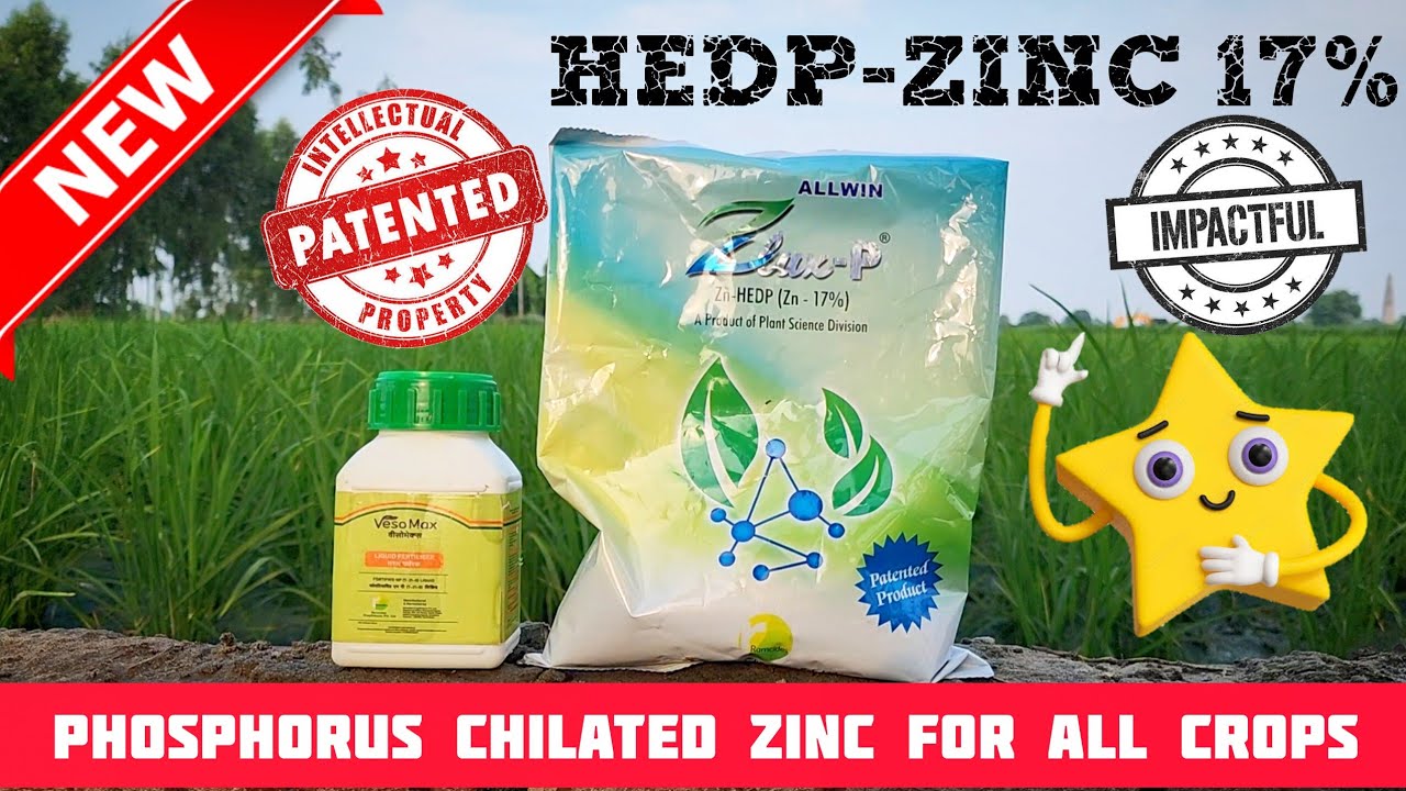 ਨਵੇਂ ਜ਼ਮਾਨੇ ਦਾ ਕਾਰਗਰ zinc 17% HEDP Zlux-P by Ramcide Crop Science 