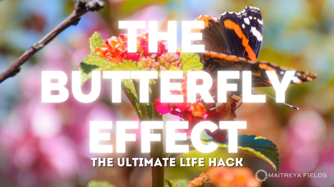 Mastering Your Destiny with the Butterfly Effect: The Ultimate Life Hack / Maitreya Reiki&trade;