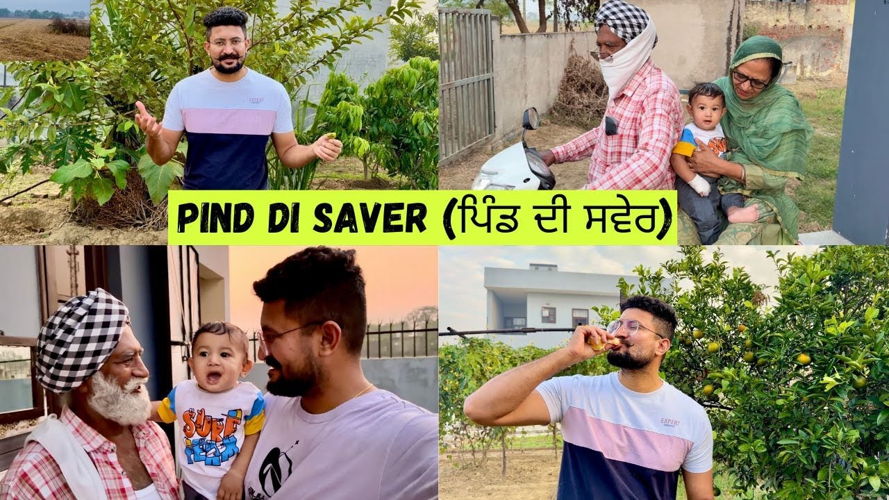 Our Home Garden Tour | ਛੋਟੇ ਪੋਤੇ ਨੇ ਕੀਤੇ ਦਾਦਾ ਦਾਦੀ Busy | Early Morning in Village Punjab