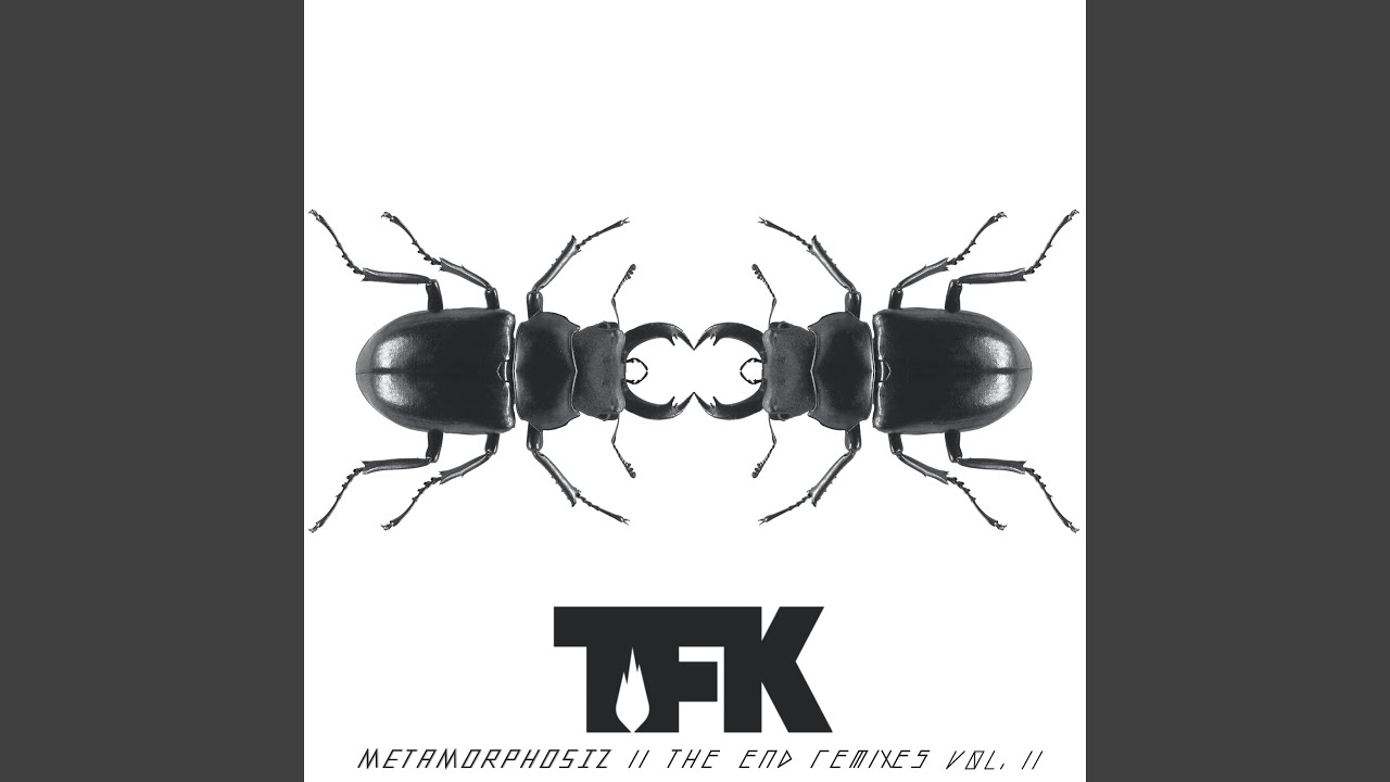 Fly on the Wall (The Robbie Bronnimann Mix) (Remix)
