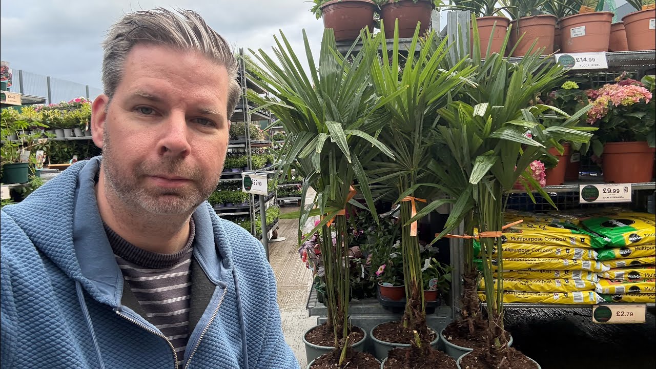 Новые выгодные предложения от Palms At Home!