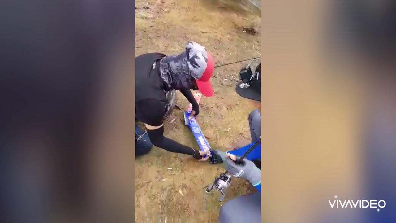 Mimpi mancing dapat ikan gabus  besar
