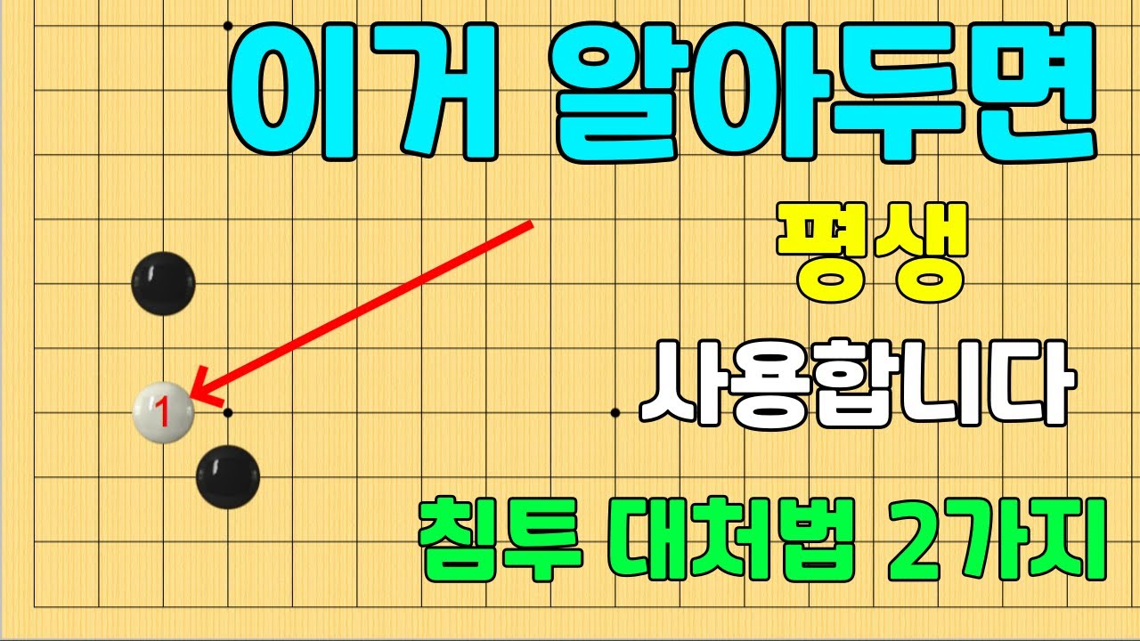 [초반50수] 소목 눈목자 굳힘 침투, 응수 방법 2가지