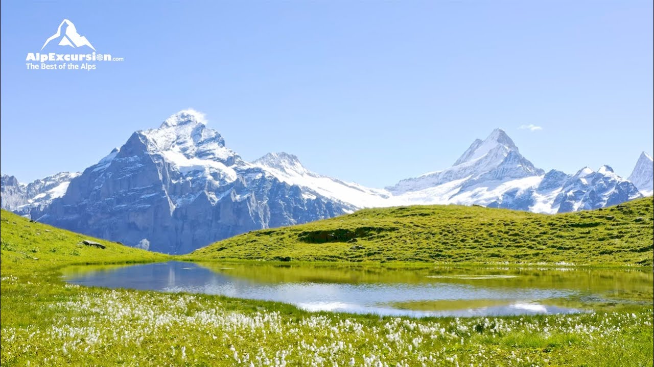Discover Switzerland: A Journey Through Alpine Majesty | AlpExcursion