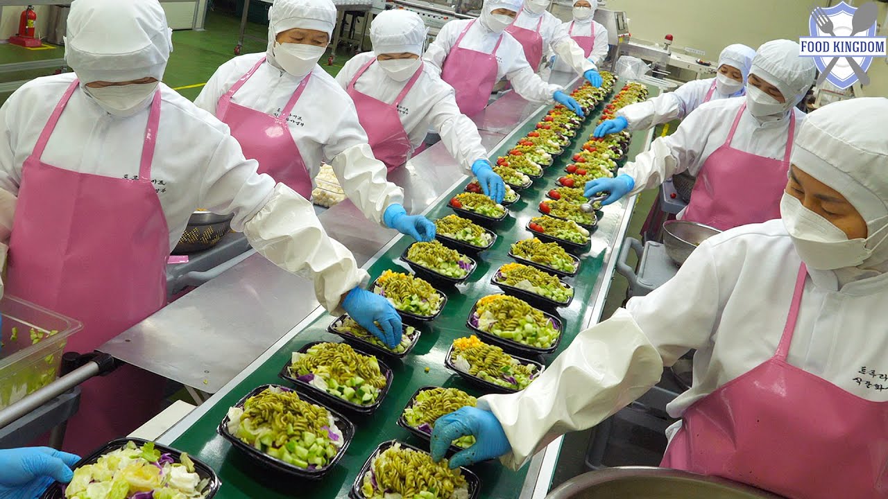 Великолепный корейский ланч-бокс (пибимпап) и салат / фабрика корейских продуктов питания