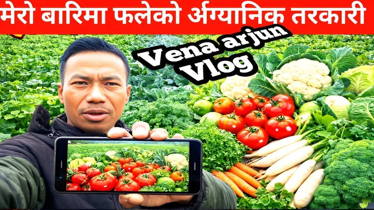 GK Questions And Answers in Nepali || Nepali GK || Loksewa GK || vena arjun vlog
