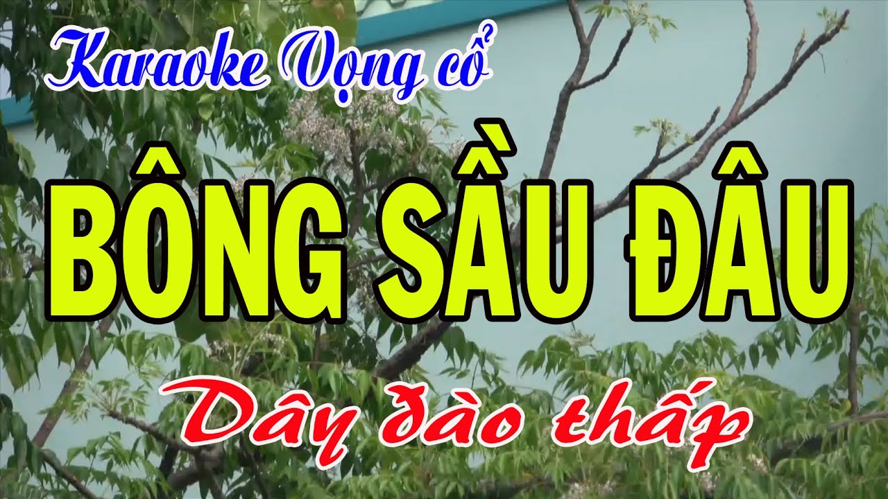 Karaoke Tân cổ: BÔNG SẦU ĐÂU - Dây Đào thấp - Tác giả: Nguyễn Hữu Nghĩa