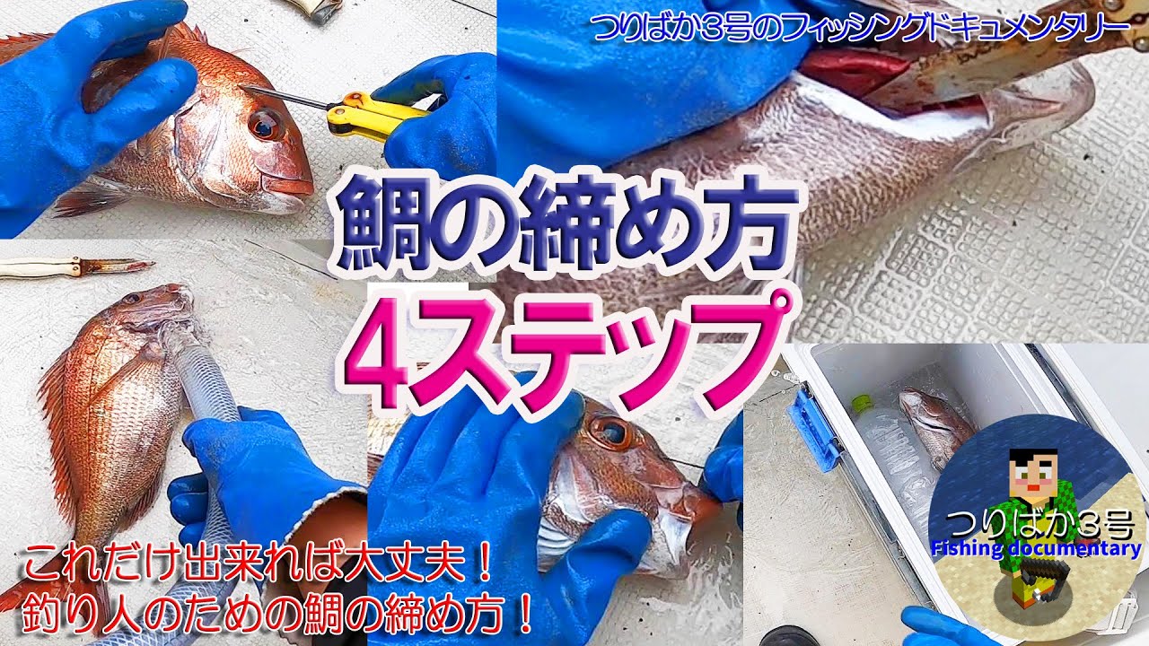 タイラバ師必見！鯛の締め方！