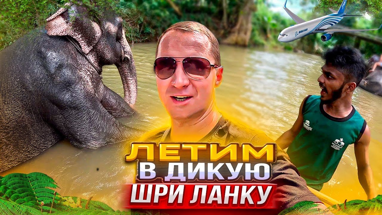 Первый раз в Дикое Приключение на Шри-Ланку. Дикие Слоны. Храм Зуба Будды