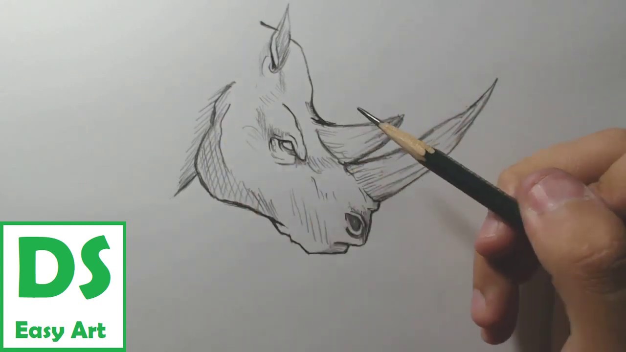 Como desenhar um rinoceronte passo a passo