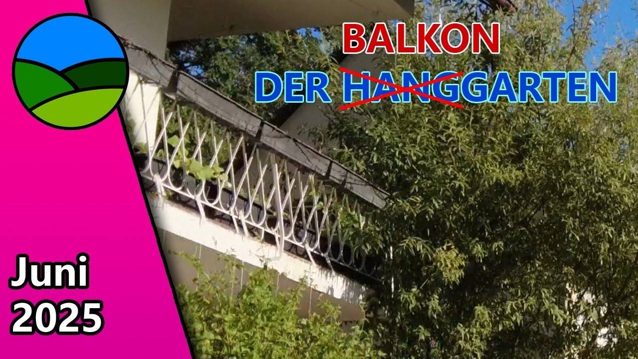 Gartenrundgang Juni 2025