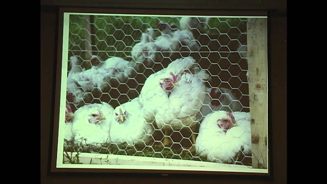 Cody Holmes - Farm to Market