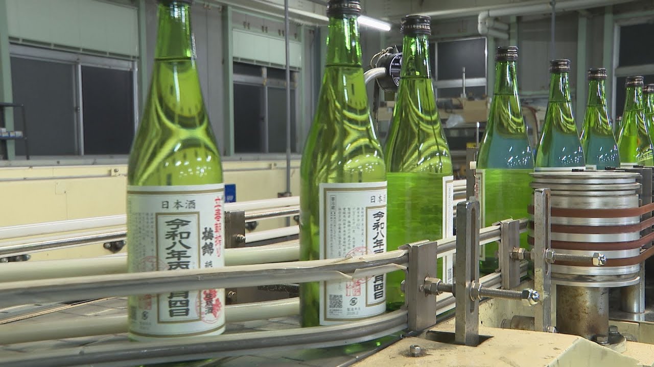 搾りたての酒をその日のうちに購入できる「立春朝搾り」出荷作業 愛媛・四国中央市