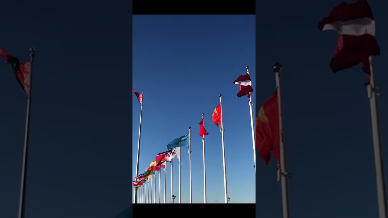 what is nato and why was it formed | Who made NATO 