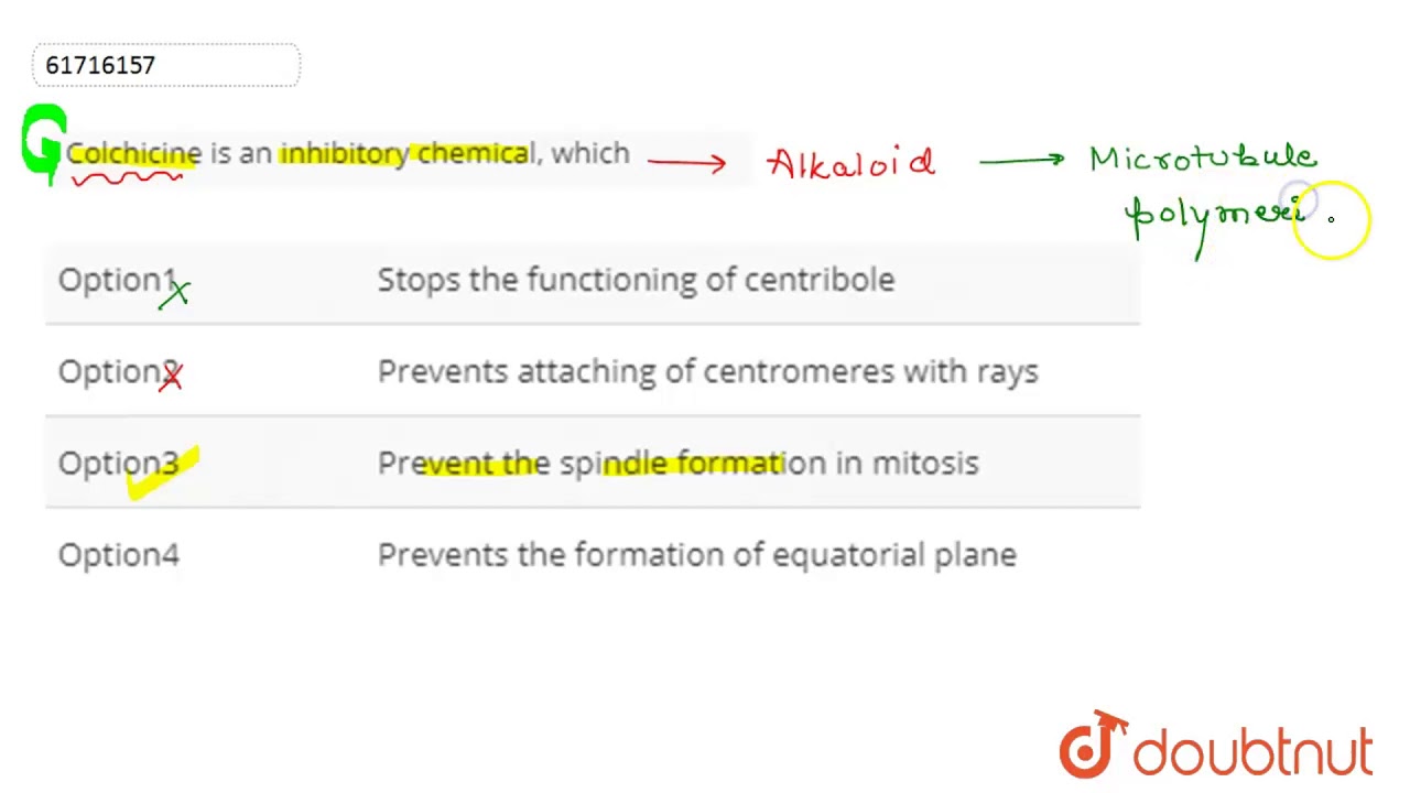 Colchicine is an inhibitory chemical, which
