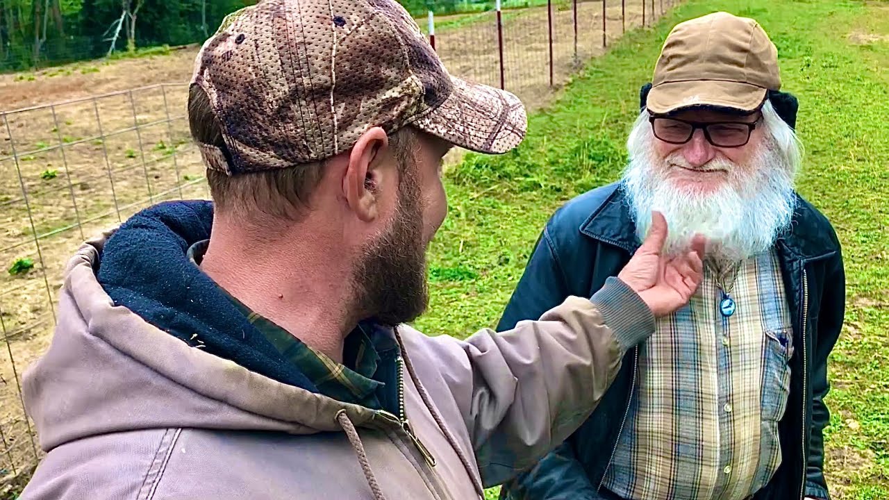 When to plant spring clover and other pig pasture crops!