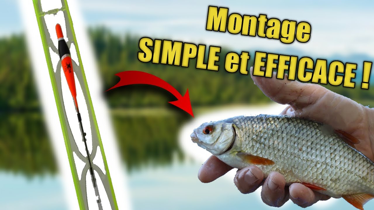 TUTO : montage d'une ligne pour la PÊCHE au COUP / GARDONS (Simple et Efficace)