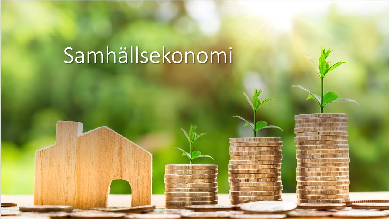 Samhällsekonomi på 15 minuter