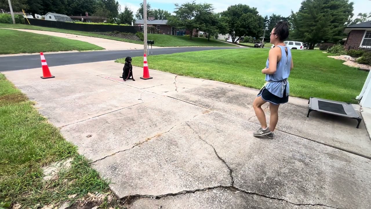 Finn 7/30/25 Day Train Part 1