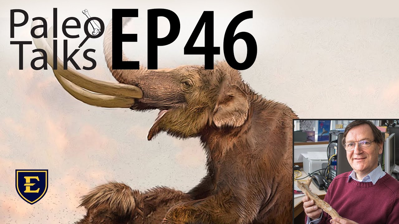 Mammoth Taxonomy and Evolution: Morphology Meets DNA [Paleo Talks EP46]