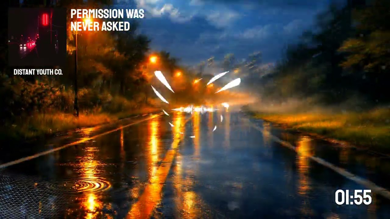 Permission Was Never Asked  -  Distant Youth Co