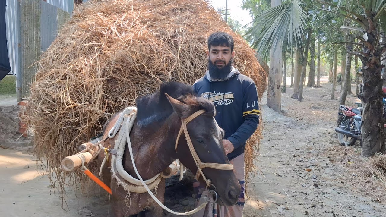 দুই টাকার গরুর জন্য ছয় টাকার খড় আনলাম!| Abu Talib