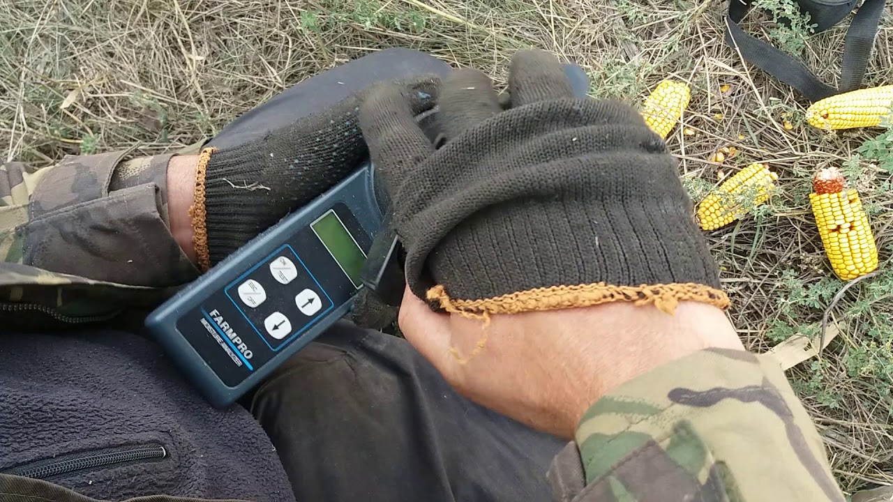 Піонер 490 ФАО міряєм вологу 02,10,2017