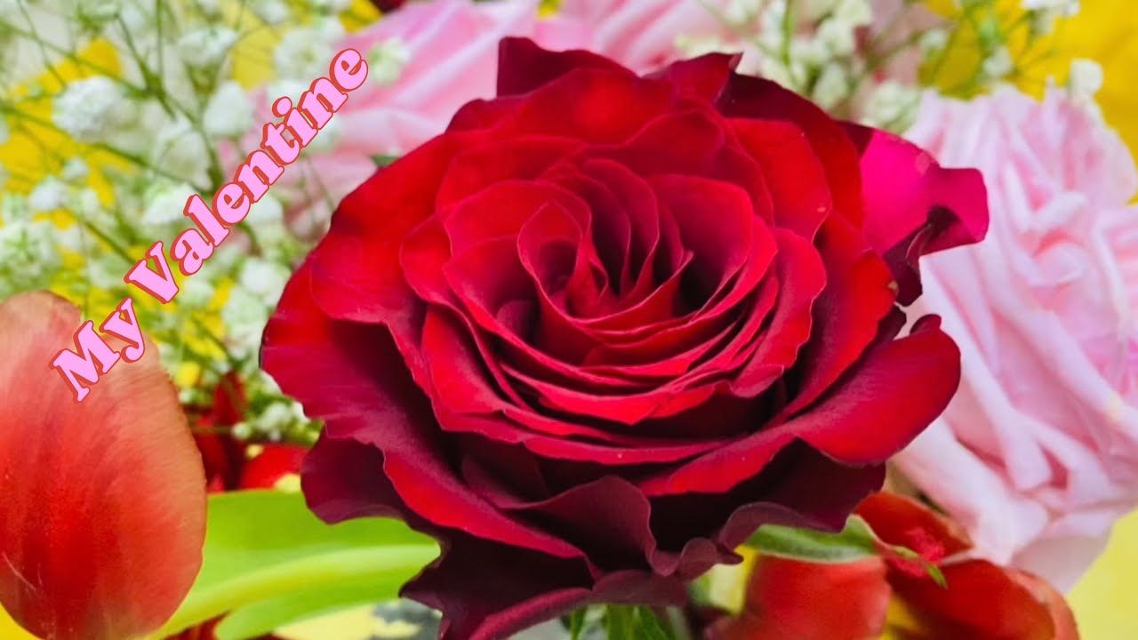 HAPPY VALENTINES DAY @dunstoppablebrosph2096  ENGLISH LOVE SONG