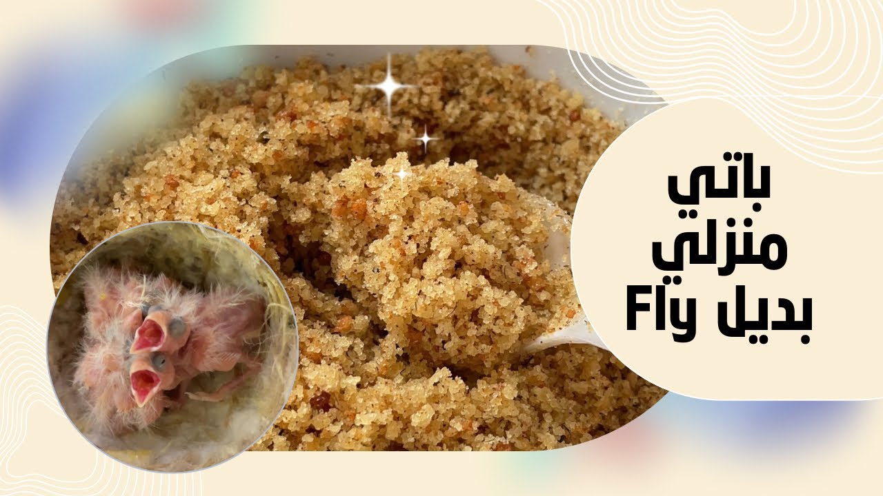 تحضير باتي منزلي لطيور الكناري بديل فلاي يساعد في إطعام فراخ الكناري